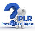 Thumbnail EVERYTHING ABOUT PLR, MRR AND OTHER RESALE RIGHTS VOL 01. Thumbnail EVERYTHING ABOUT PLR, MRR AND OTHER RESALE RIGHTS VOL 01.