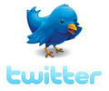 Thumbnail PROMOTING YOUR BUSINESS WITH TWITTER SUCCESSFULLY VOL 01
