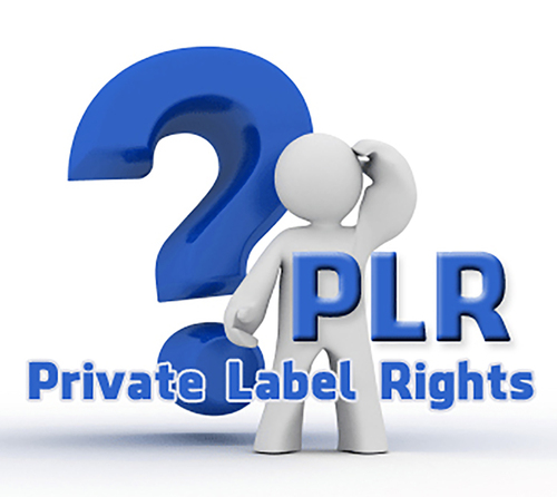 Product picture EVERYTHING ABOUT PLR, MRR AND OTHER RESALE RIGHTS VOL 01. 