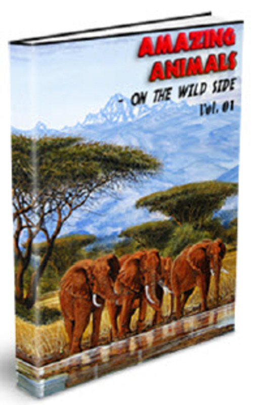 Product picture AMAZING ANIMALS - ON THE WILD SIDE VOL 01